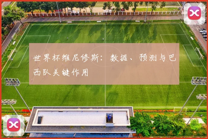 世界杯维尼修斯：数据、预测与巴西队关键作用