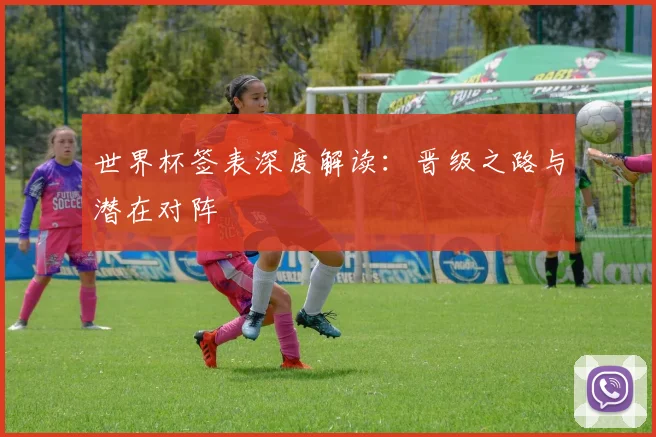 世界杯签表深度解读：晋级之路与潜在对阵